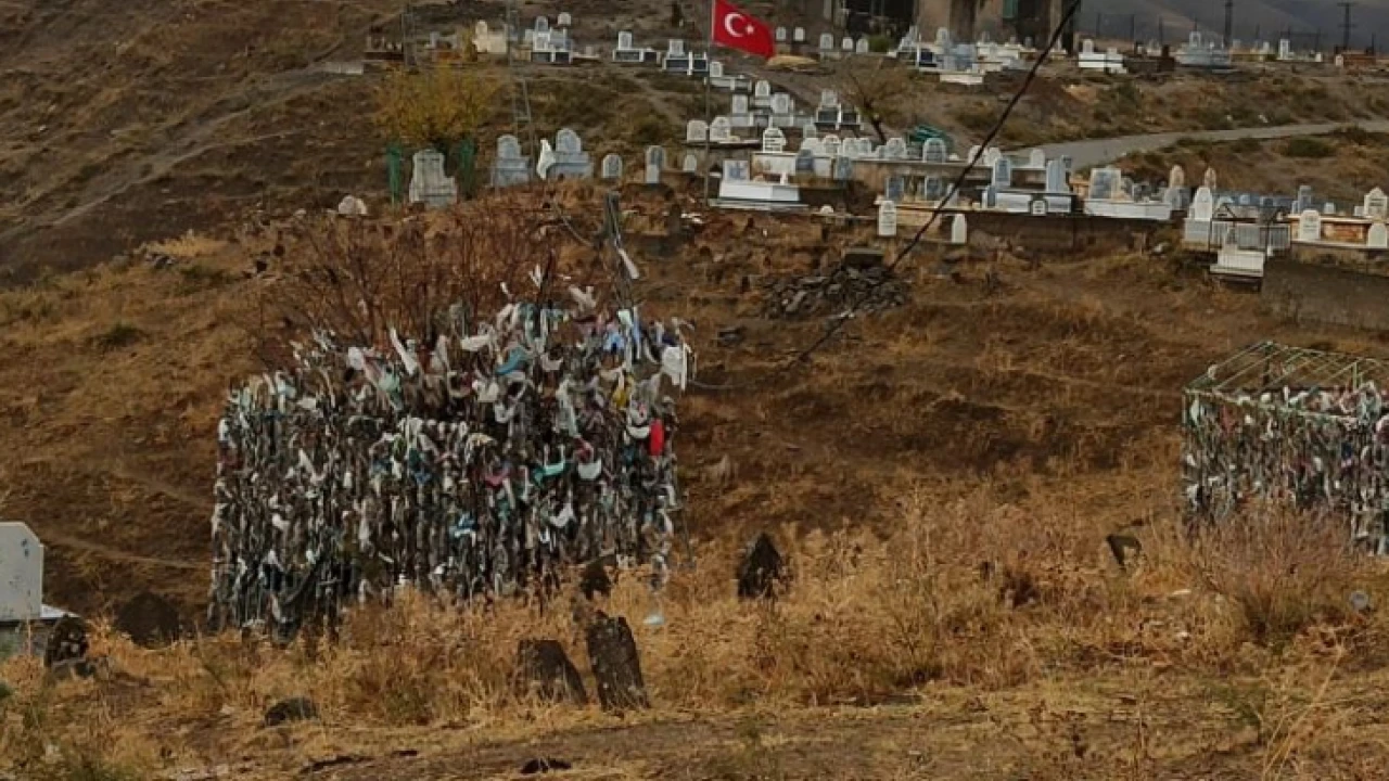 Siirt’Te Ağaca Bez Parçası Bağlayıp Dilek Tutuyorlar