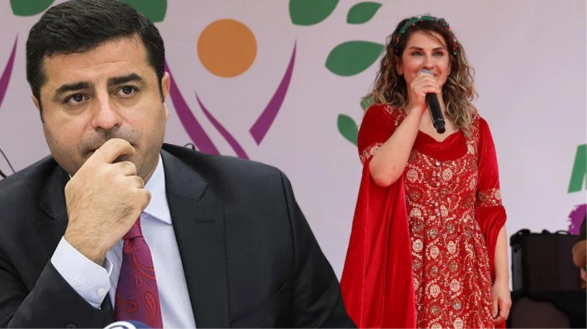 Demirtaş’In Cumhurbaşkanı Adayı Olarak Önerdiği Iddia Edilen Kadın Kim?