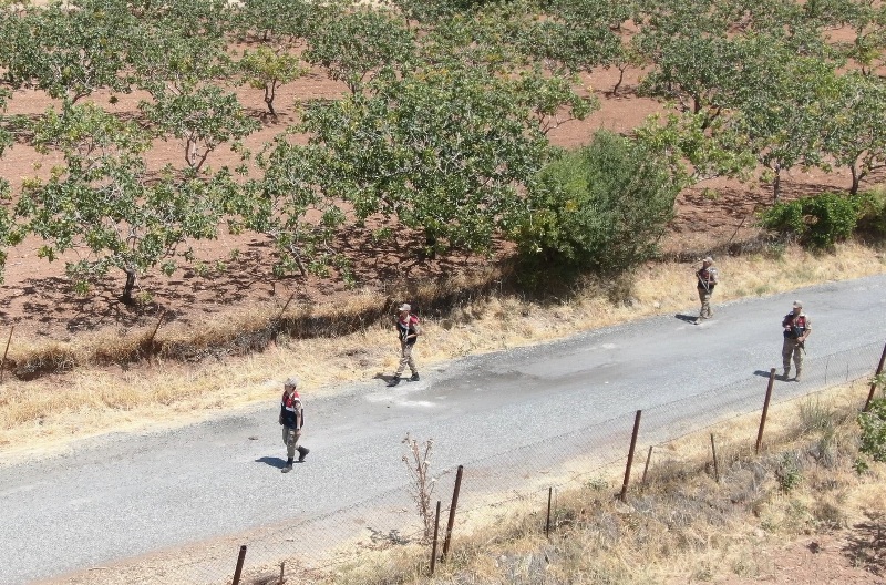 Siirt Fıstığı Hırsızlığına Karşı Karadan Ve Havadan Denetim Başlatıldı | Siirt Olay Haber