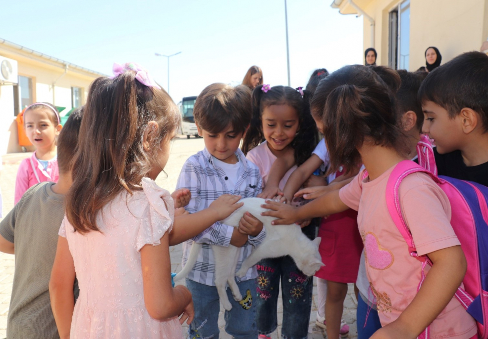 Siirt'Teki Çocuklar, 'Siirt Belediyesi Sokak Hayvanları Bakım Ve Rehabilitasyon Merkezi'Ni Ziyaret Ederek, Sevimli Dostlarımıza Sevgi Dolu Anlar Yaşattılar | Siirt Olay Haber