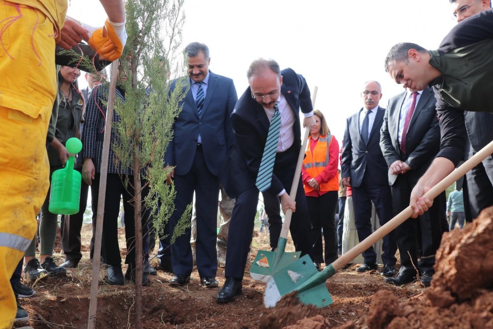 Siirt’te Cumhuriyetimizin 100. Yılı Anısına 1923 Fidan Toprakla Buluşturuldu | Siirt Olay Haber