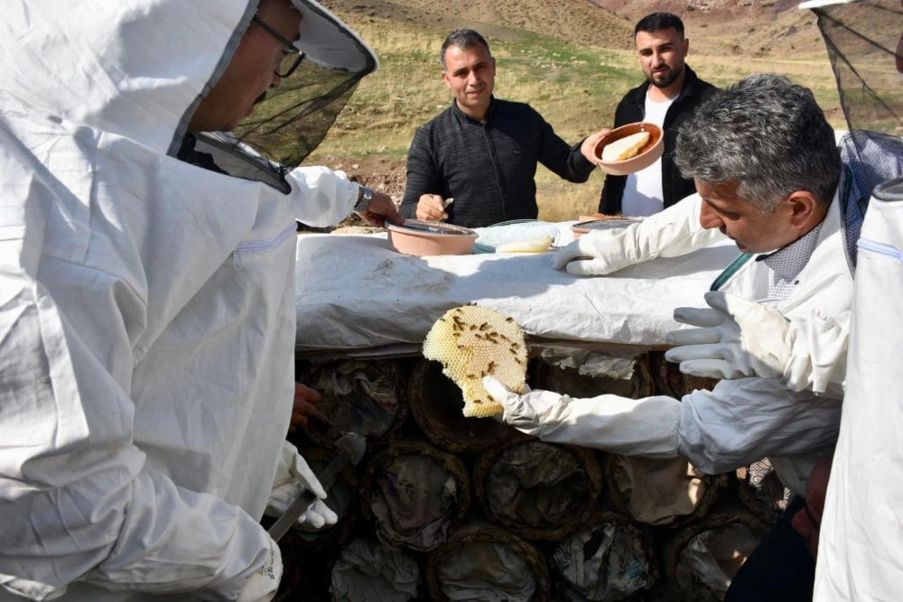 Siirt’te Terörden Temizlenen Çemikari Yaylası'Nda Bal Hasadı Yapıldı | Siirt Olay Haber