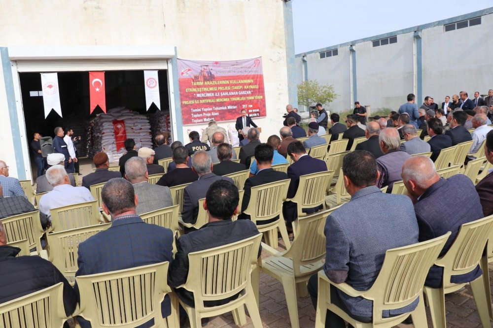 Vali Kızılkaya, Kurtalan’da Çiftçilere Mercimek Tohumu Dağıttı | Siirt Olay Haber