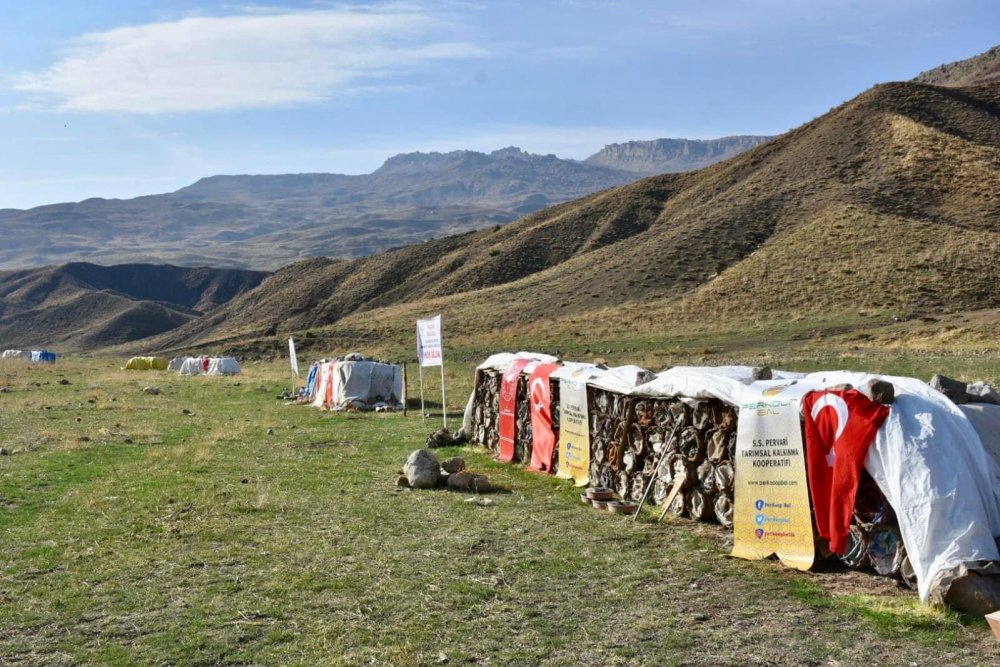 Siirt’te Terörden Temizlenen Çemikari Yaylası'Nda Bal Hasadı Yapıldı | Siirt Olay Haber