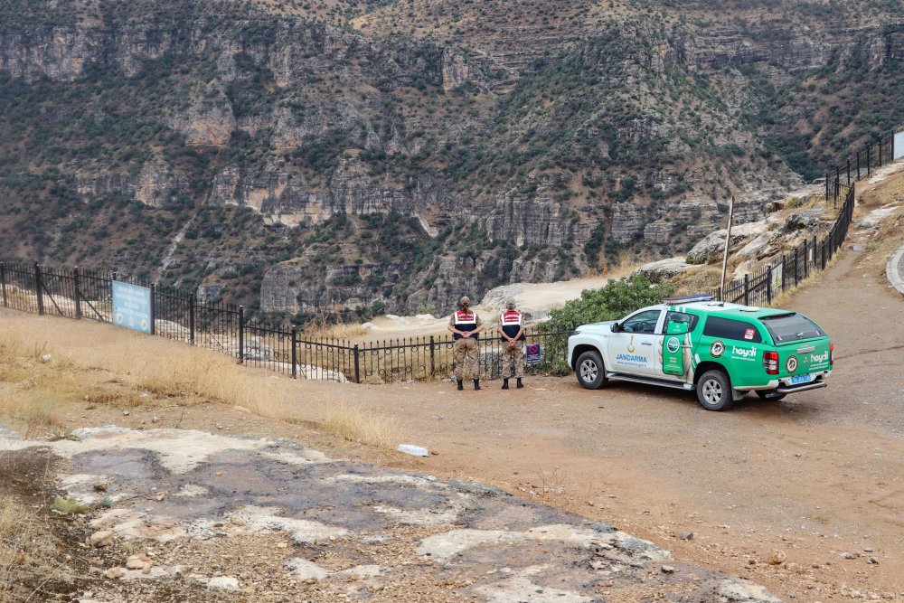 Siirt’te Jandarma, 4 Ekim Hayvanları Koruma Gününde Unutmadı | Siirt Olay Haber