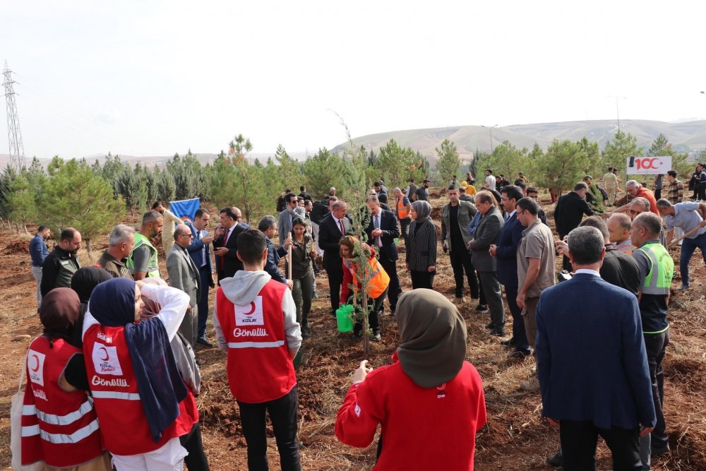 Siirt’te Cumhuriyetimizin 100. Yılı Anısına 1923 Fidan Toprakla Buluşturuldu | Siirt Olay Haber