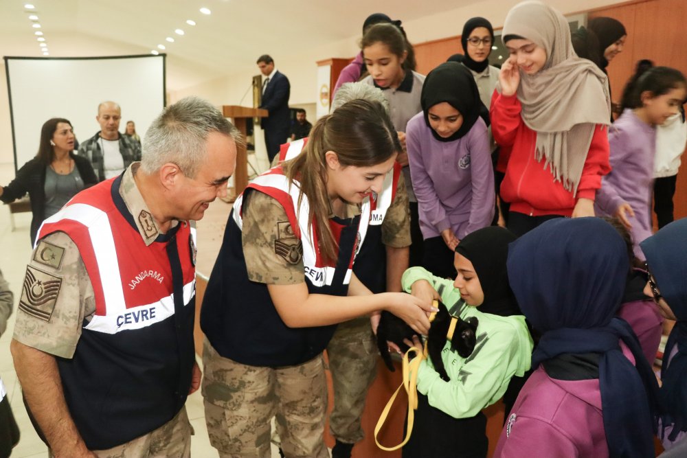 Siirt’te Jandarma, 4 Ekim Hayvanları Koruma Gününde Unutmadı | Siirt Olay Haber