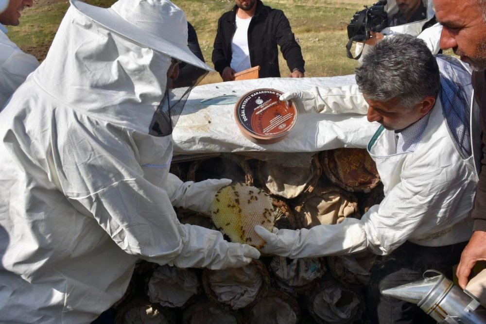 Siirt’te Terörden Temizlenen Çemikari Yaylası'Nda Bal Hasadı Yapıldı | Siirt Olay Haber