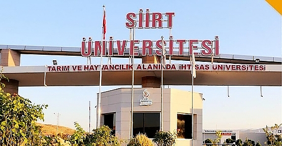 Siirt Üniversitesi Mühendislik Fakültesinden Bir Başarı Daha