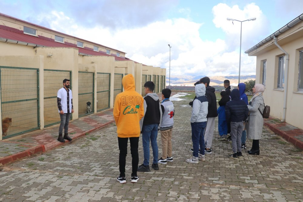 Siirt Sevgi Evleri’nde Kalan Öğrenciler Hayvan Barınağını Gezdi | Siirt Olay Haber