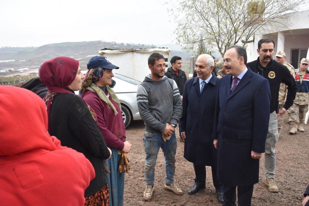 Siirt’te 100 Bin Adet Siirt Fıstığı Fidanı Dağıtıldı | Siirt Olay Haber