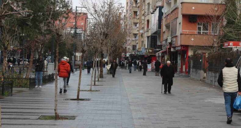 Siirt En Genç Nüfus Oranında Üçüncü İl Oldu