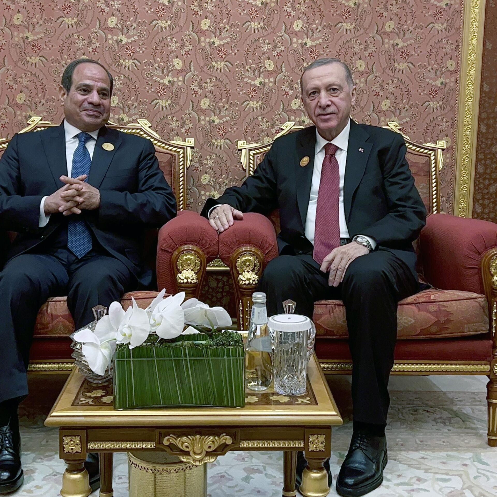 Erdoğan Ve Sisi