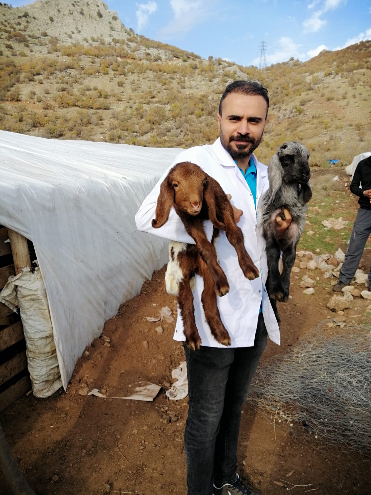 Siirt Tarım Müdürlüğünden Aşı Çalışmalar | Siirt Olay Haber