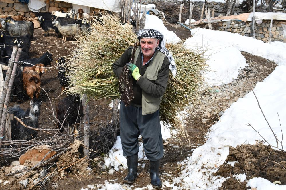 Şırnak'Ta Besiciler Yemleri Sırtlayarak Hayvanlarını Besliyor | Siirt Olay Haber