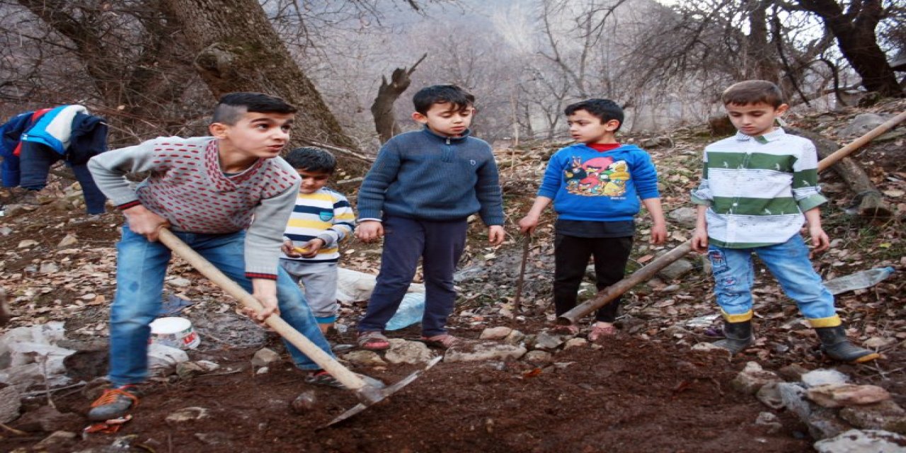 En Yüksek Çocuk Nüfus Oranına Sahip 2’nci İl Şırnak Oldu:İşte O Oranlar