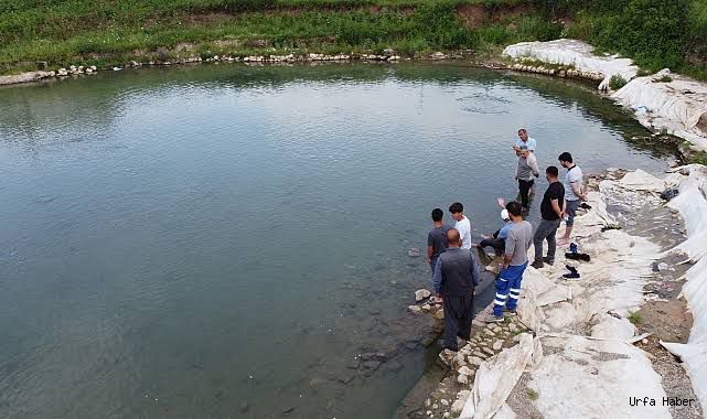 Siirt’te Turistlik Yapılar Arasında Balıklıgöl Birinci Sırada Yer Alıyor