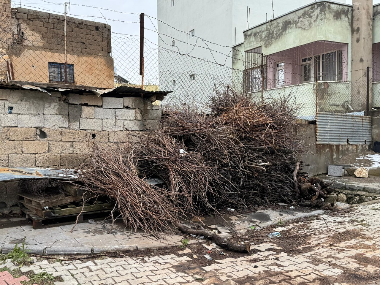 Tillo’ya Kar Yağdı Odunlar Geri Çıktı | Siirt Olay Haber