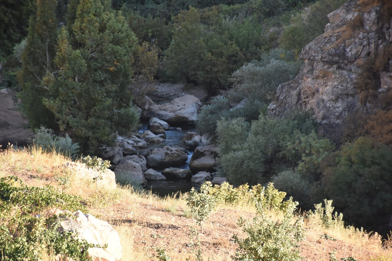 Siirt'Te Köylülerin Yıllardır Süren Mücadelesi Sürüyor | Siirt Olay Haber