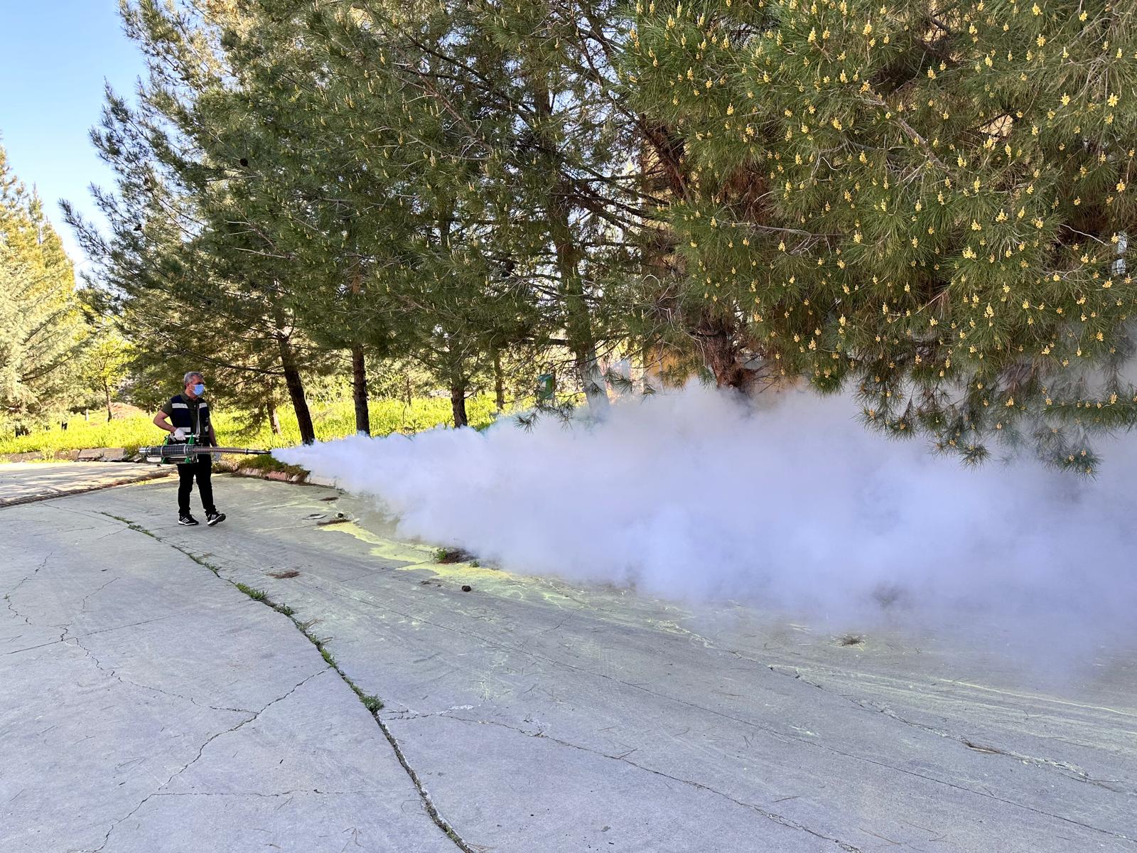 Siirt Belediyesi İlaçlama Çalışmalarına Devam Ediyor | Siirt Olay Haber