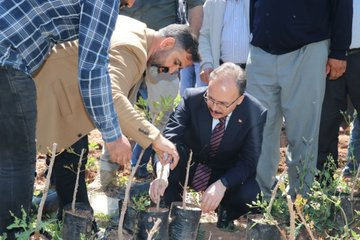 Siirt Valisi Kızılkaya; Siirt Fıstığı Fidanını Toprakla Buluşturmak Üzere Düzenlenen Fıstık Fidanı Dağıtım Törenine Katıldı | Siirt Olay Haber