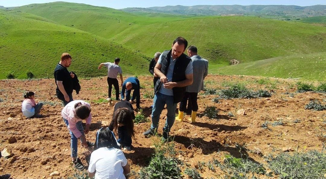 Siirt Sosyal Hizmetler Bireyleri Üretime Katıldı | Siirt Olay Haber