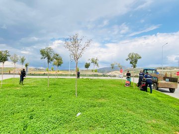 Siirt Belediyesi Park ve Bahçelerde Bakım Çalışmaları Başlattı | Siirt Olay Haber