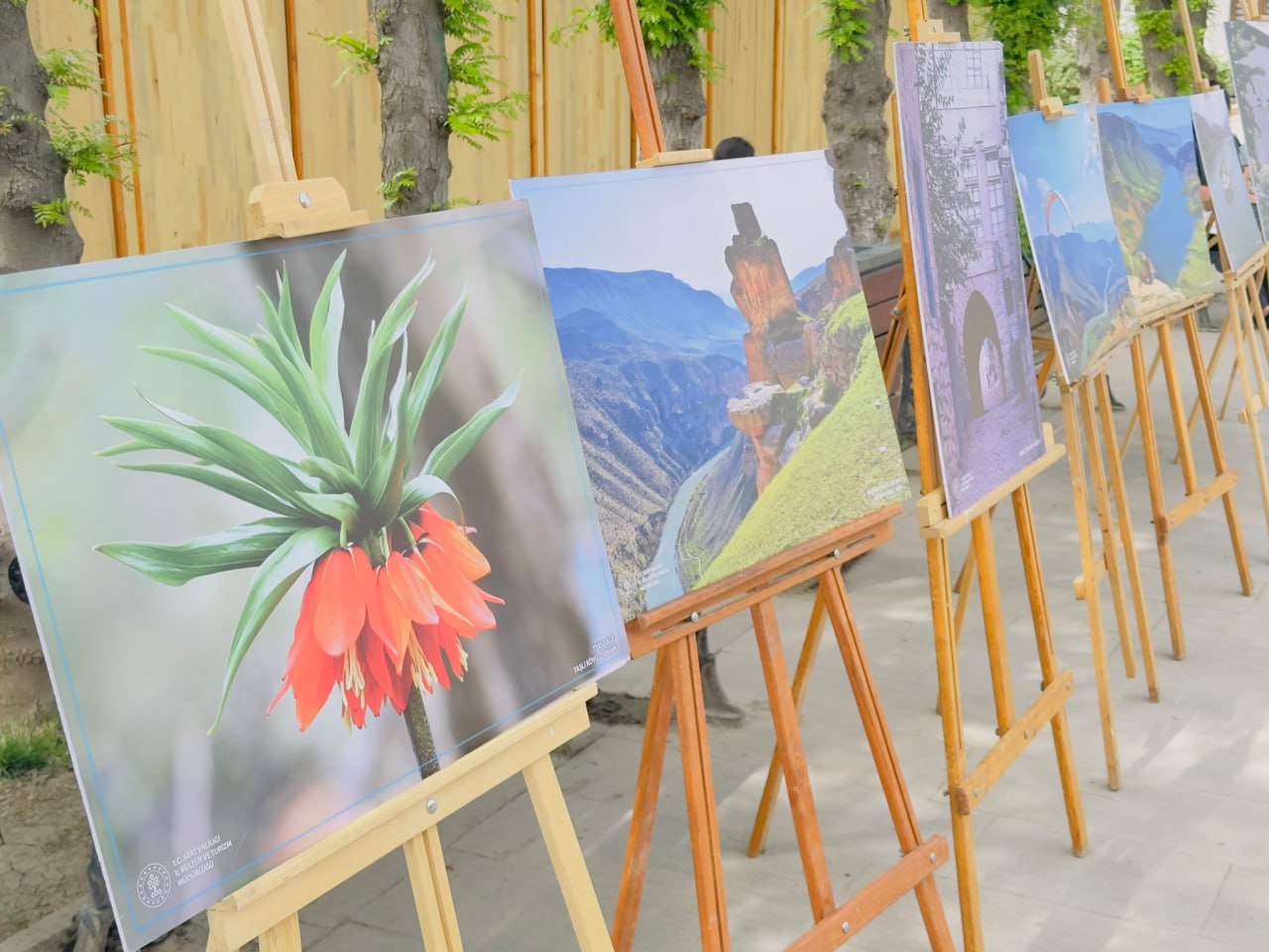 Siirt Fotoğraf Sergisi Açıldı | Siirt Olay Haber