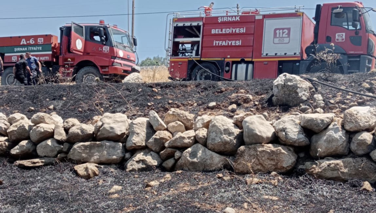 Şırnak’ta Korkutan Örtü Yangını | Siirt Olay Haber