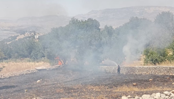 Şırnak’ta Korkutan Örtü Yangını | Siirt Olay Haber