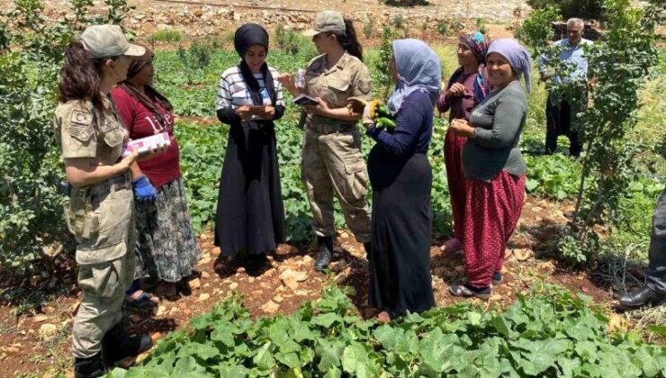 Gaziantep’Te Jandarma Ekiplerinden Kades Uygulaması Tanıtımı Ve Farkındalık Eğitimi