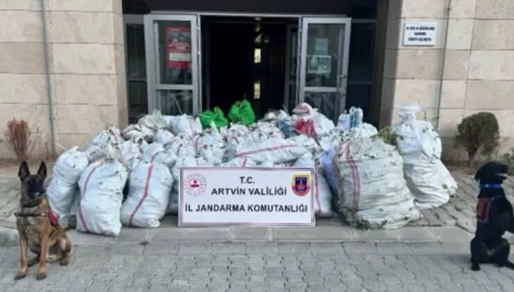 Artvin’de Jandarma Tarafından Düzenlenen “Narkoçeli̇k-36” Operasyonunda; 502 Kg Esrar Ele Geçirildi, 2 Şüpheli Zehir Taciri Yakalandı