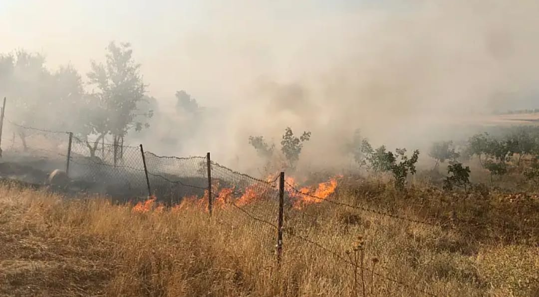 Siirt’teki Anız Yangını Fıstık Bağlarına Sıçradı