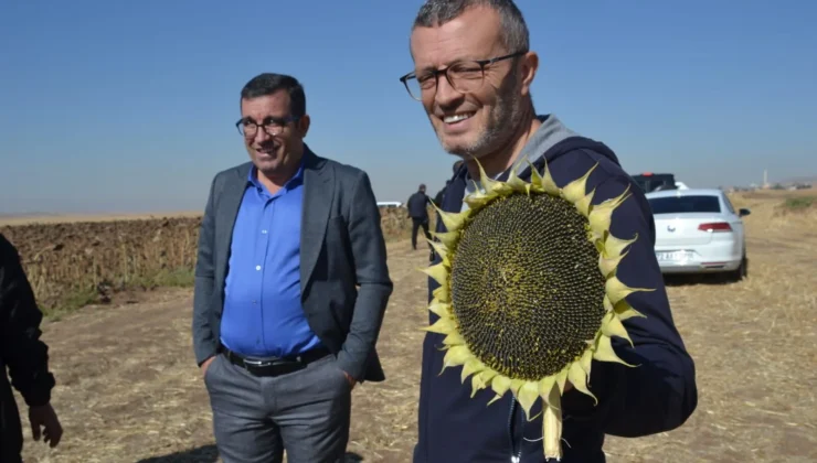 “Her Yil Ayni Ürün Eki̇lmemeli̇”