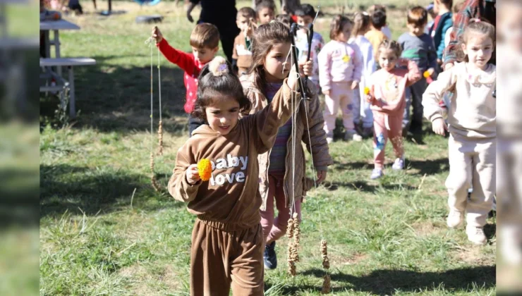 Zarokistanlı Çocuklardan Bağ Bozumu Ve Bulamaç Etkinliği