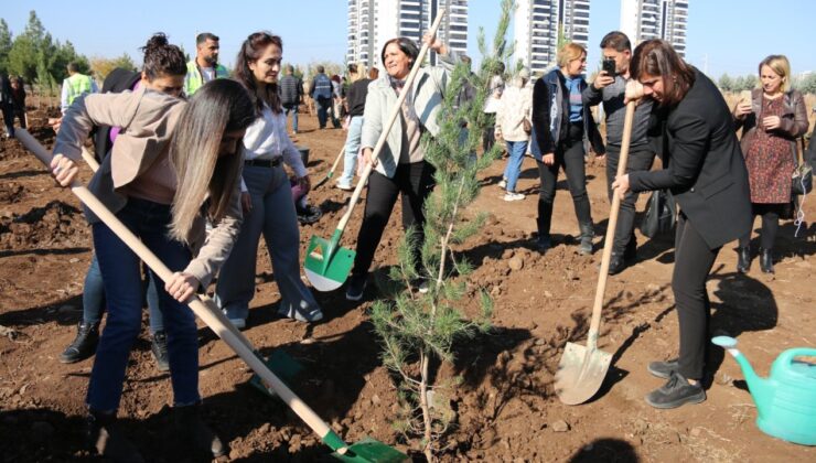 Öldürülen Kadınlar Için Diyarbakır’da Fidan Dikimi