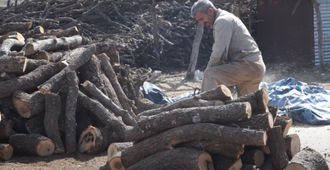 Siirt’te Kış Öncesi Odun ve Kömür Satışları Hareketlendi