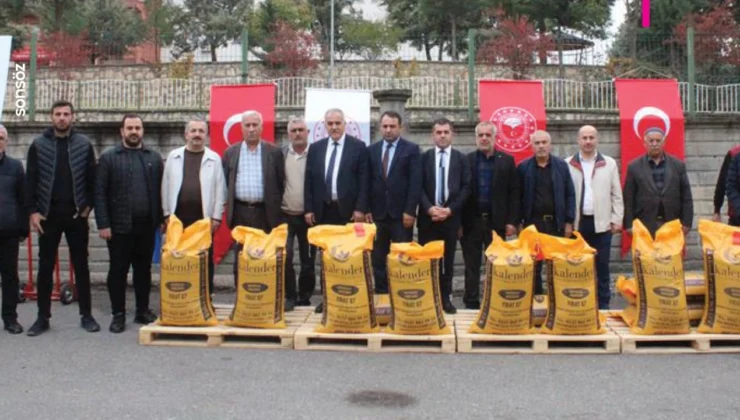 Çiftçiye 176 Bin Kilo Mercimek Dağıtıldı