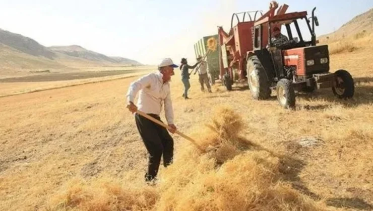 Diyarbakırlı Çiftçilere Önemli Uyarı! Yapmazlarsa Destekleme Alamazlar