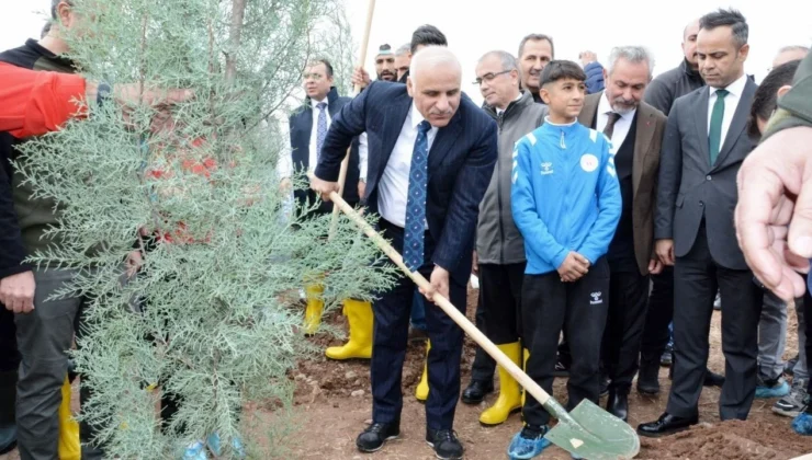 Diyarbakır’Da Binlerce Fidan Toprakla Buluştu