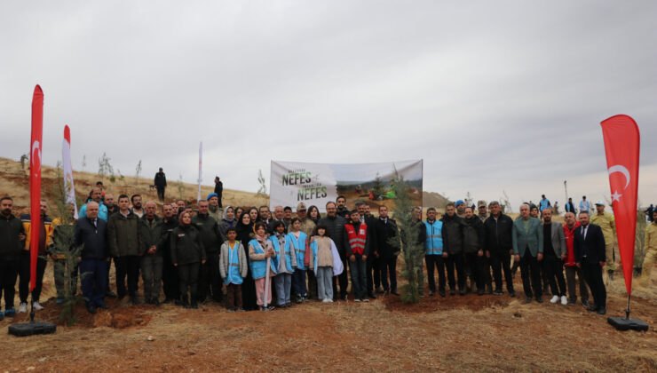 Siirt Genelinde Fidan Dikim Seferberliği