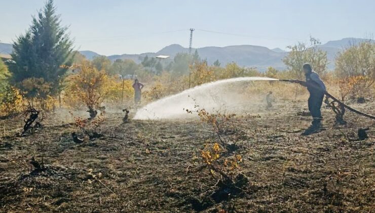 Siirt’tin Kurtalan İlçesine Bağlı Yeniköprü Köyünde Yangın