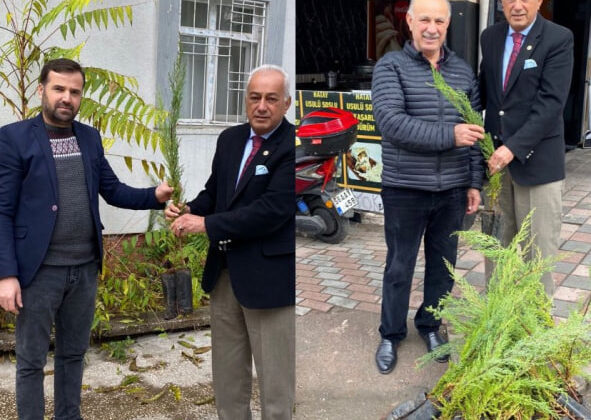 Siirt Ziraat Odası Binlerce Çam Fidanı Dağıttı