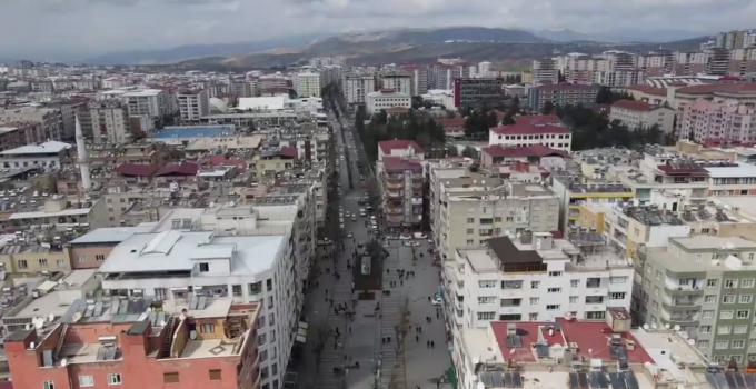 Siirt’te Evler Böcekten Geçilmiyor