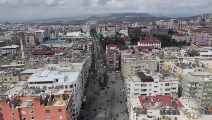 Siirt’Te Evler Böcekten Geçilmiyor