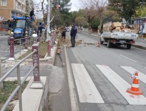 Siirt Belediyesi: Siirt’imizin Daha Yeşil Geleceği İçin Çalışıyoruz