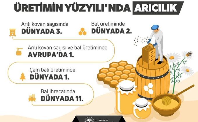 Siirt’te Bal Üretimi Yüzde 422 Arttı | Siirt Olay Haber