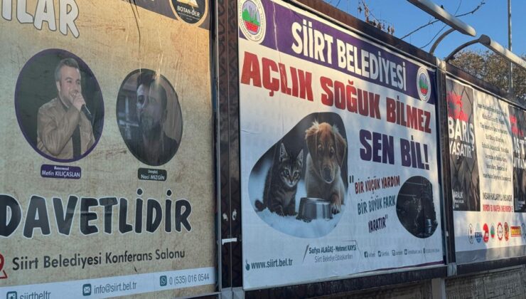 Siirt’te Sokakta Canlar İçin Dikkat Çekildi