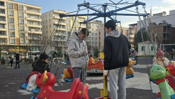 Siirt’te Atlı Karınca Güneşi Görünce Çalışıyor!