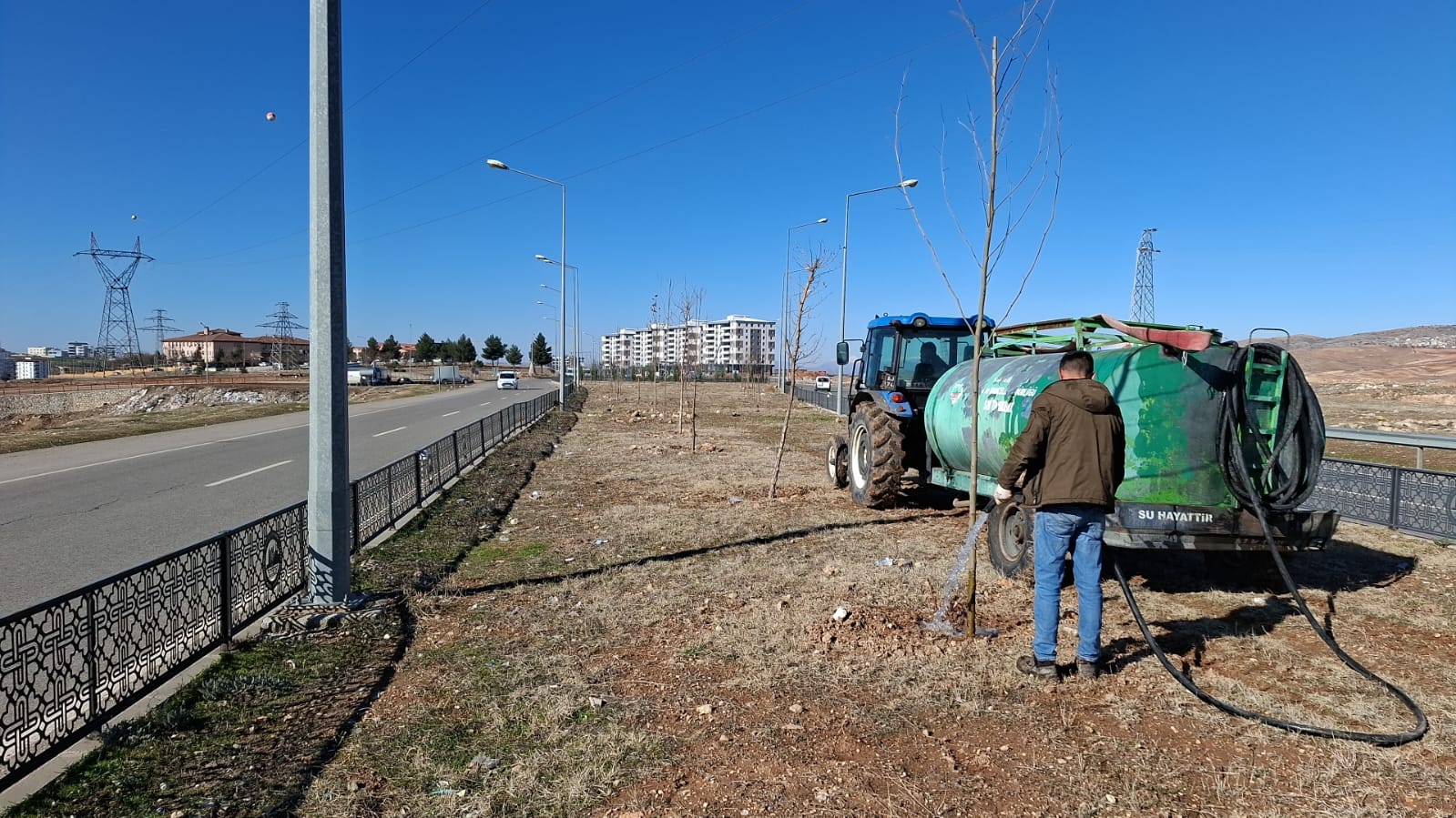 Siirt Belediyesi: “Ağaçlarımıza Can Suyu!”